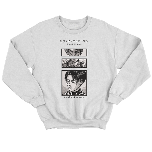 Attack on titan Buzo cuello redondo